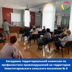 Заседание территориальной комиссии по профилактике правонарушений на территории Новотитаровского сельского поселения № 9