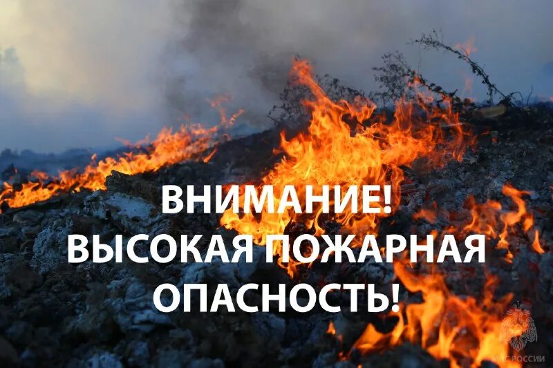 Внимание! Экстренное предупреждение!