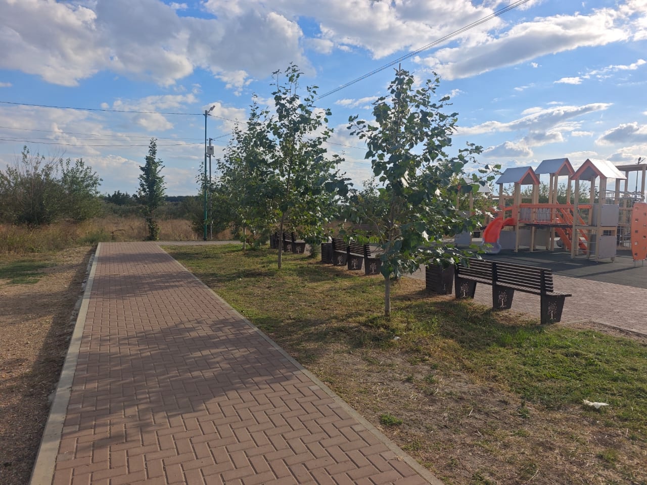 В сквере на Таманской завершены работы по покосу травы.