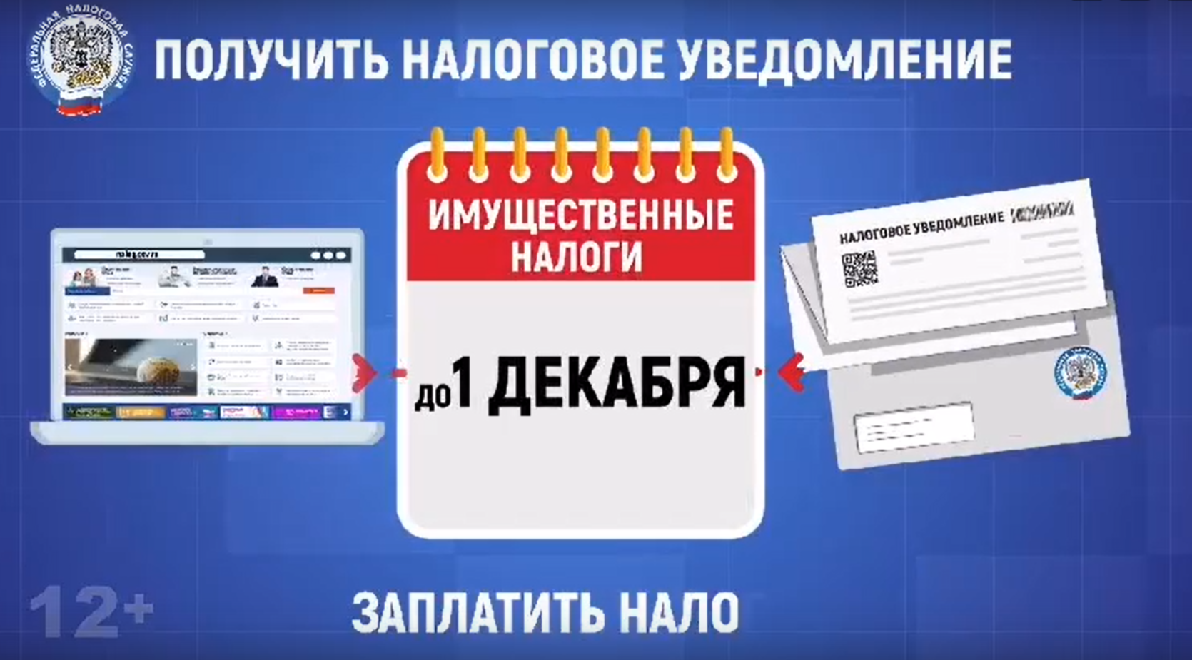 Напоминаем: заплатить имущественные налоги нужно до 1 декабря!