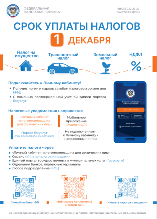 Срок уплаты налогов до 1 декабря