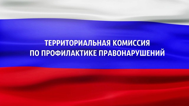 Территориальная комиссия по профилактике правонарушений