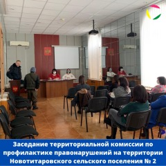Заседание территориальной комиссии по профилактике правонарушений на территории Новотитаровского сельского поселения № 12