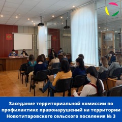 Заседание территориальной комиссии по профилактике правонарушений на территории Новотитаровского сельского поселения № 2