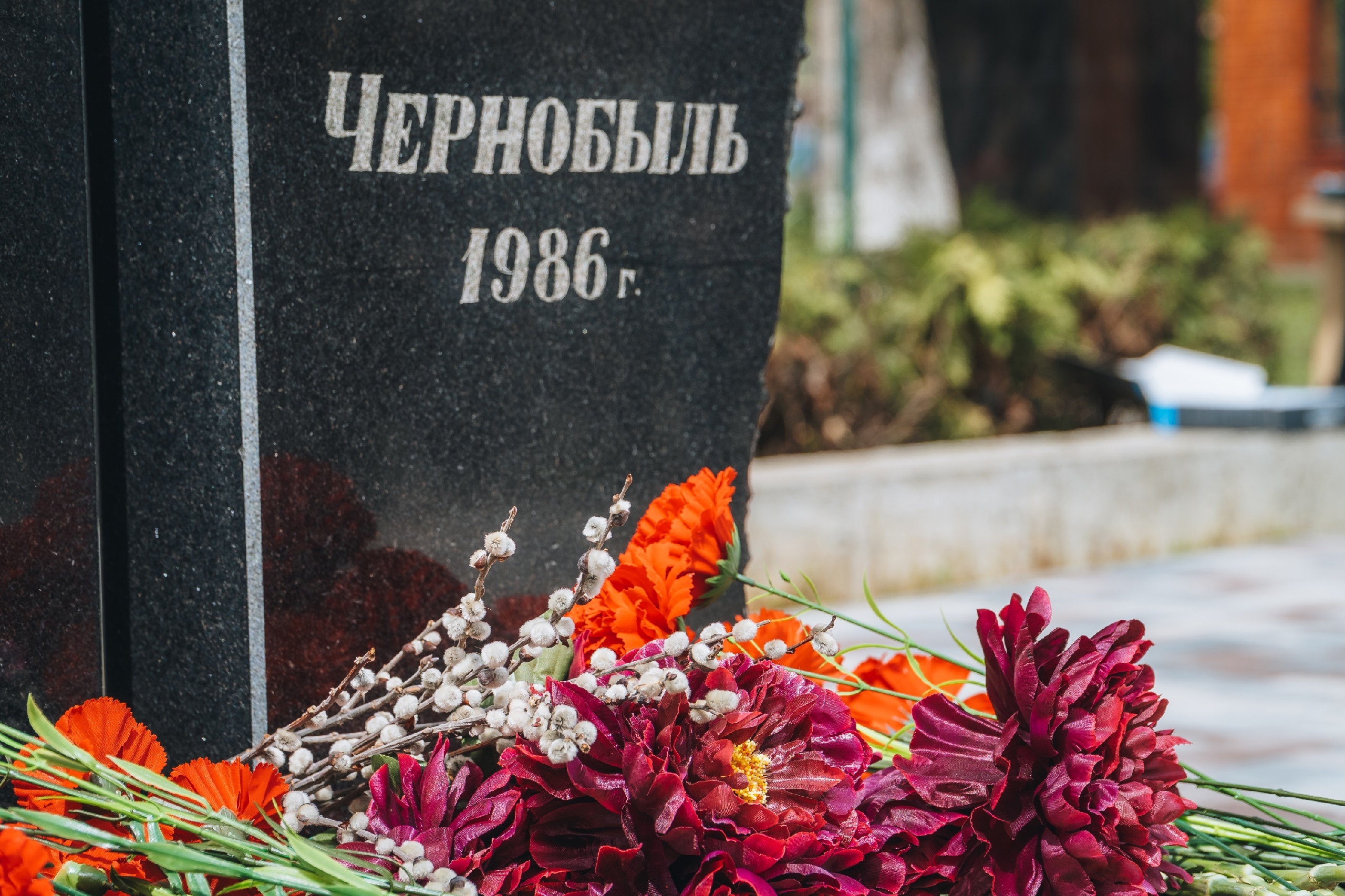 В Центре творчества станицы Новотитаровской состоялась памятная акция «Не гаснет памяти свеча», приуроченная ко Дню памяти погибших в радиационных авариях и катастрофах в России