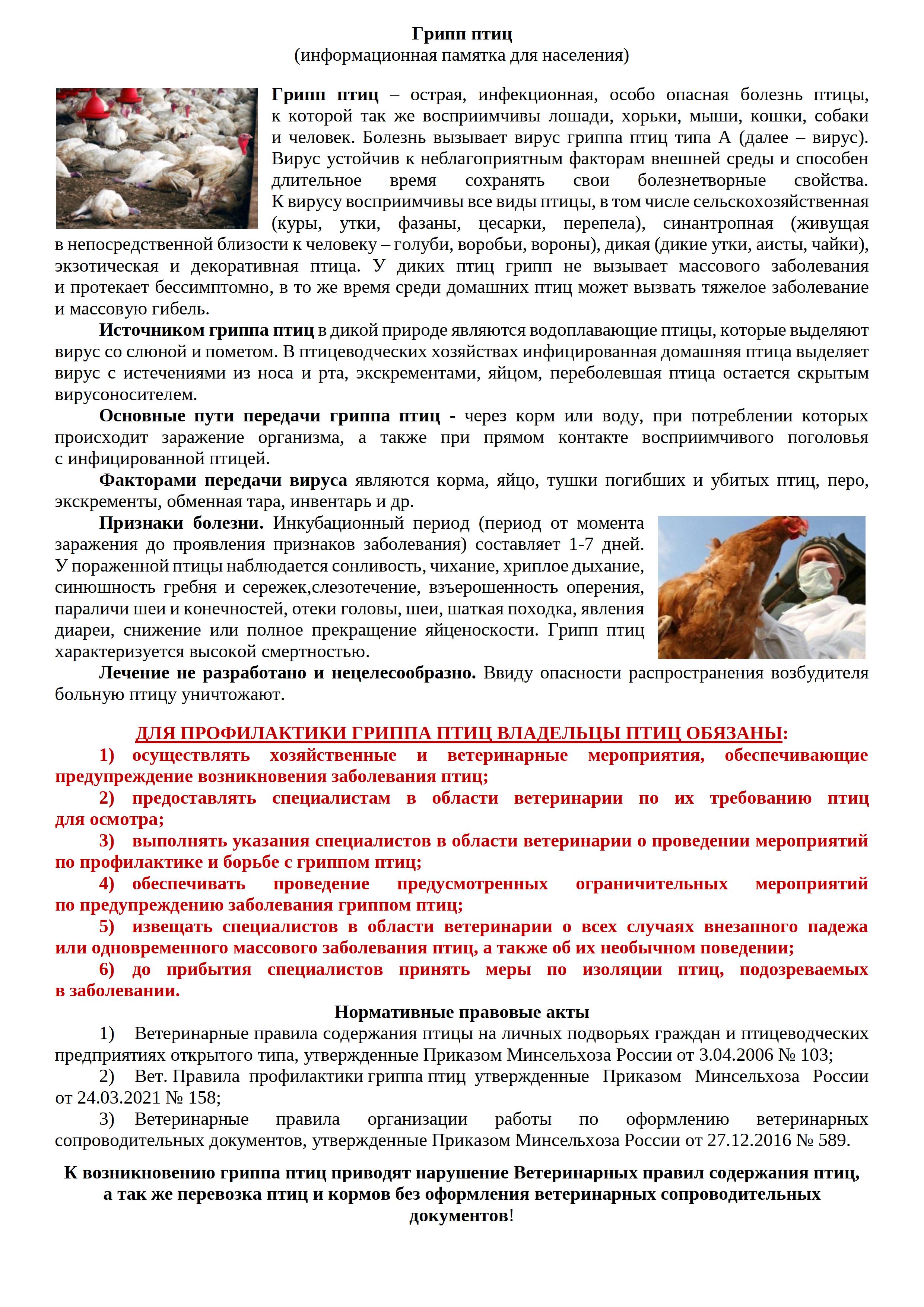 Памятка для населения:Что такое птичий грипп?