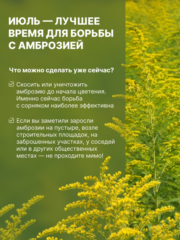 CZDuFkoHPq4DLRaN4FXazeMSvOrBTadhioZ6p00vAyoSqw1HfX9kA4O6Ird9huiNe6ZtfrO2AHuwZp_HnMOqJVkt