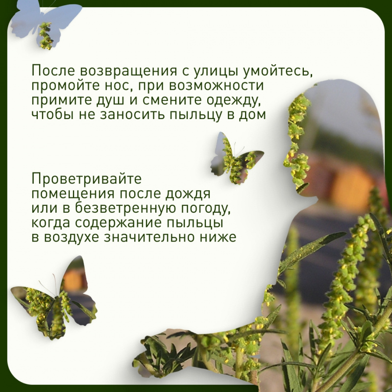 RDLdzMC-P9Oc6e7u0E9HbnhGq_R64or9rd7pVuH72NjUomcSKUF6zmaX17PIT02NFiI7TR4mJ65JU5Yr1_hzDcQR