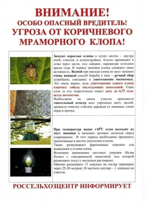 xgIAcrOaz9iAVk6xoFQWUq46Jfxu59zS4jDg9faJmMS9cjGK1ChlThcK0_o-ESIryUKYOz_IIlfu50OmedMjjqWH