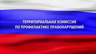 Территориальная комиссия по профилактике правонарушений