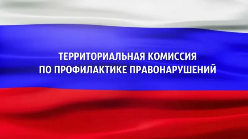 Территориальная комиссия по профилактике правонарушений