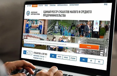 Единый реестр субъектов малого и среднего предпринимательства