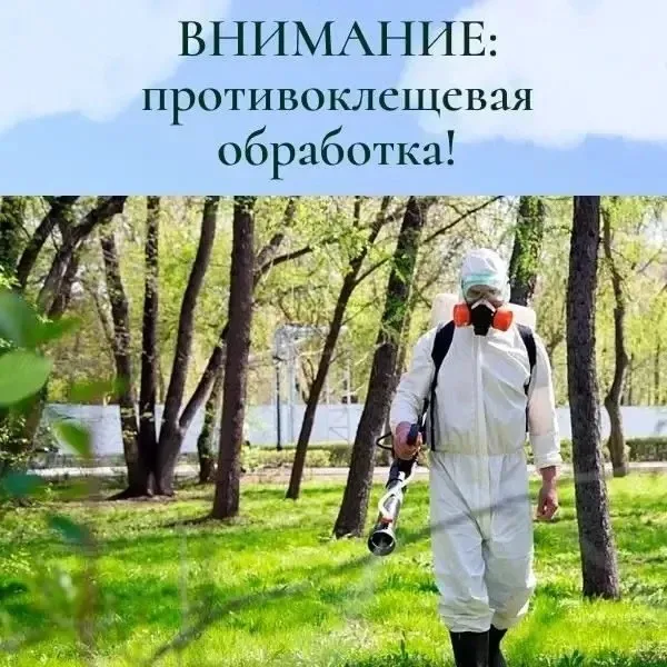 В Центральном парке пройдет противоклещевая обработка