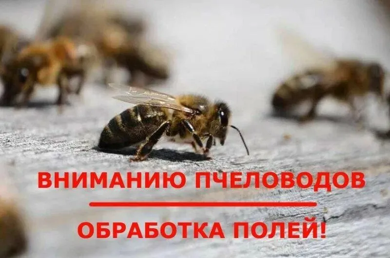 Уведомление о предстоящих обработках пестицидами и агрохимикатами полей в период с 08 по 10 декабря 2025 года