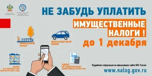 1 декабря - единый срок уплаты имущественных налогов