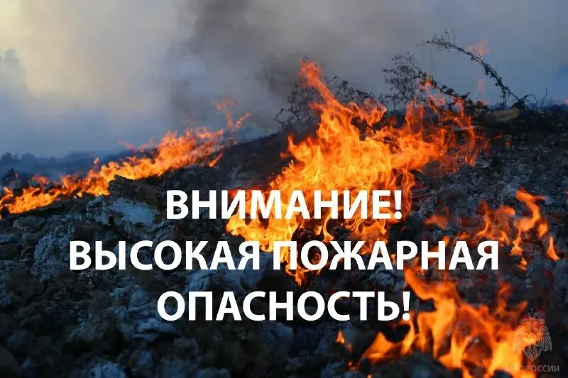 Внимание! Экстренное предупреждение!
