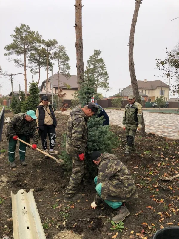На улице Луначарского посажены новые деревья!