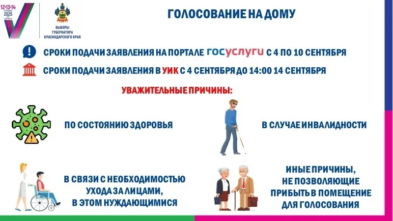 Голосование на дому