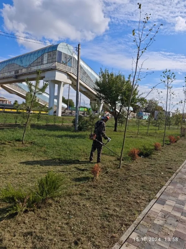 Прошли работы по покосу сорной растительности