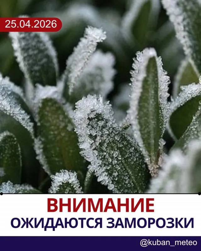 Внимание! Ожидаются заморозки