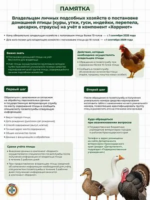 Владельцам личных подсобных хозяйств о постановке домашней птицы (куры, утки, гуси, индейки, перепела, цесарки, страусы) на учёт в компонент «Хорриот»