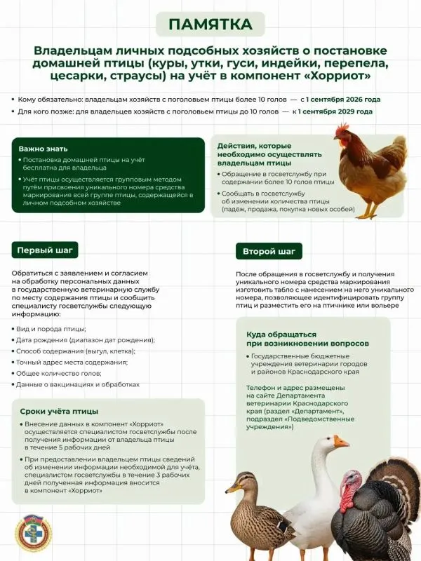 Владельцам личных подсобных хозяйств о постановке домашней птицы (куры, утки, гуси, индейки, перепела, цесарки, страусы) на учёт в компонент «Хорриот»
