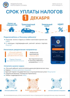 Срок уплаты налогов 1 декабря