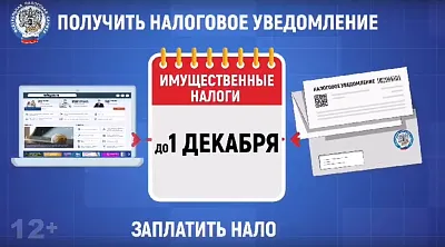 Напоминаем: заплатить имущественные налоги нужно до 1 декабря!