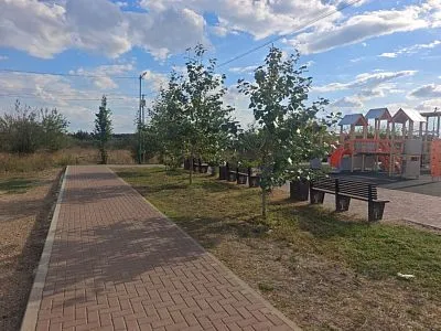 В сквере на Таманской завершены работы по покосу травы.
