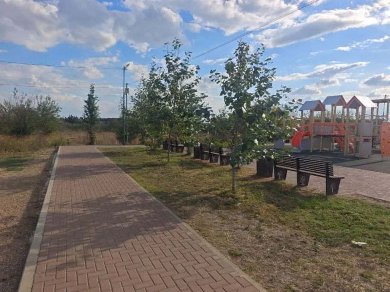 В сквере на Таманской завершены работы по покосу травы.