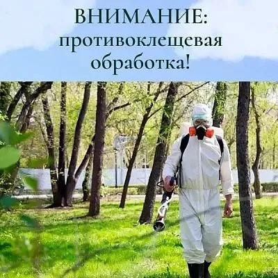 В Центральном парке пройдет противоклещевая обработка
