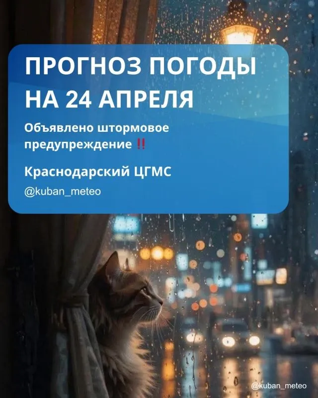 Прогноз погоды