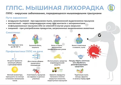 Мышиная лихорадка (ГЛПС): как защититься