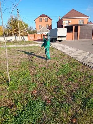 Работы по покосу травы