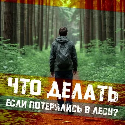 Памятка "Что делать, если потерялся в лесу?"