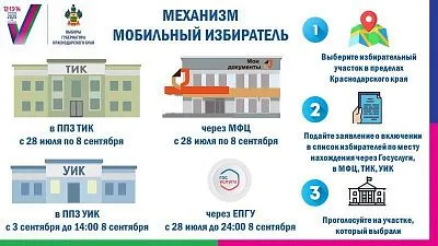 Механизм "Мобильный избиратель"