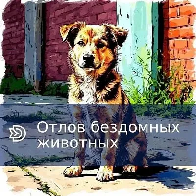Отлов бездомных животных