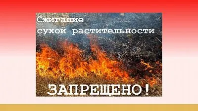 О запрете сжигания сухой растительности!