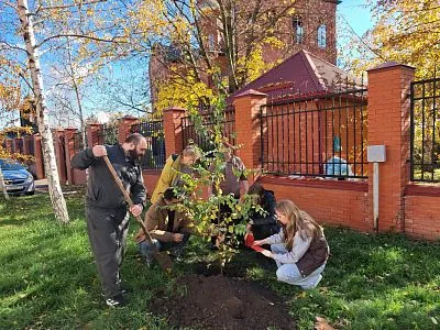 Патриотическая акция «Дерево дружбы»