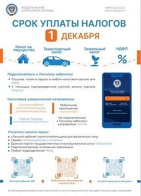 Что делать, если налоговое уведомление не получено?