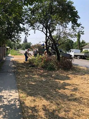 Уборка веток и древесного мусора