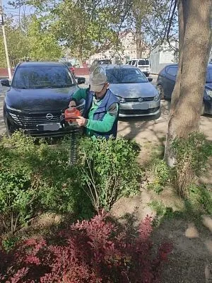Плановая обрезка кустарников