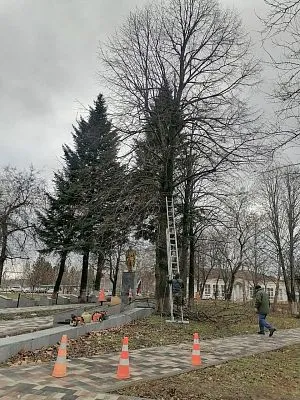 Работы по спилу аварийных деревьев