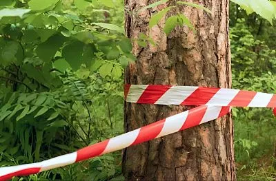 В Краснодарском крае ввели ограничения на посещение лесов
