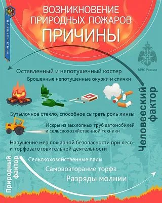 Памятка МЧС: причины возникновения природных пожаров