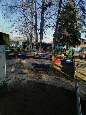 Работы по спилу и вывозу деревьев на территории БДОУ МО Динской район "Детский сад №59"