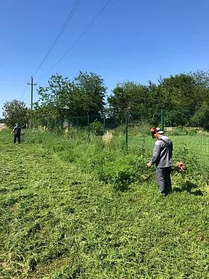 Работы по покосу сорной растительности