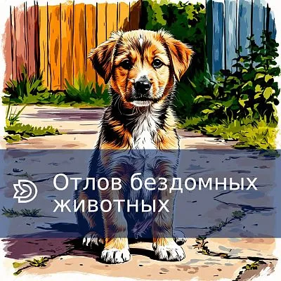Отлов бездомных животных