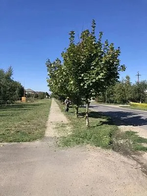 На ул. Выгонной проведены работы по покосу сорной растительности