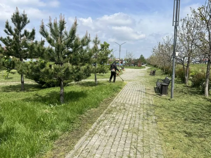 Покос травы в сквере на улице Ейское шоссе